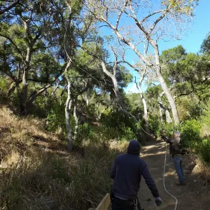 Clearing a broken tree branch