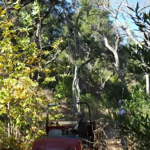Clearing a broken tree branch