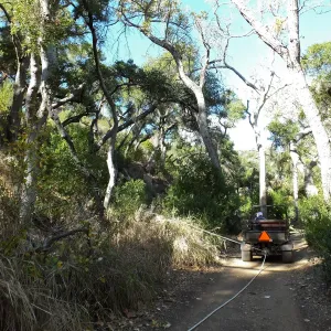 Clearing a broken tree branch