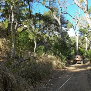 Clearing a broken tree branch