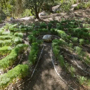 Centennial Maze