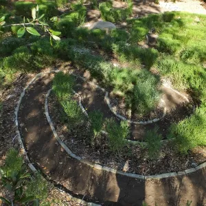 Centennial Maze