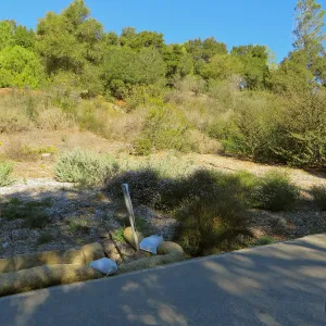 Triangle planting