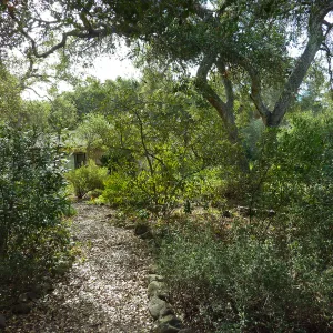 Naiman Garden, 2014 Native Garden Tour