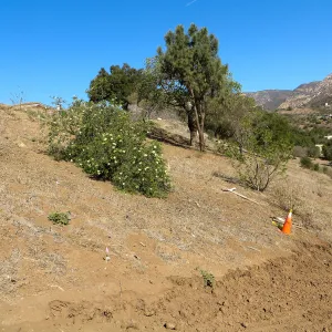 East Slope