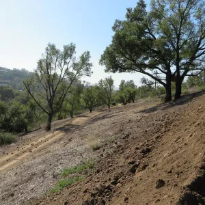 East Slope