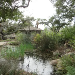 Garden Pond with Lockwood de Forest Kiosk