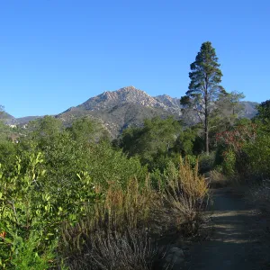 Porter Trail