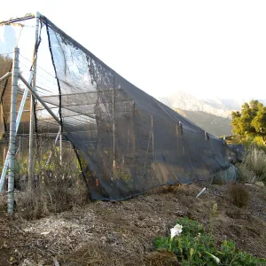 East side driveway, looking up to the Garden Growers Canyard