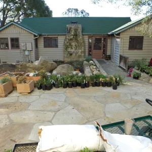 Home Demonstration Garden Renovation, view 2, north side of Cottage, first day of replanting work