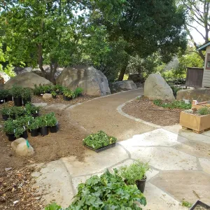Home Demonstration Garden Renovation, view 4, north side of Cottage, first day of replanting work