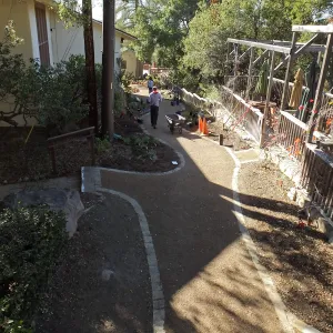 Home Demonstration Garden Renovation, view 33, looking south along path west of Herbarium, first day of replanting work