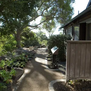 Home Demonstration Garden Renovation, view 6, looking south along path east of Cottage, first day of replanting work