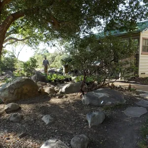Home Demonstration Garden Renovation, view 7, east of Cottage, first day of replanting work
