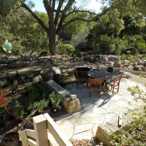 Home Demonstration Garden Renovation, view 19, looking southeast from south entrance of Cottage, first day of replanting work