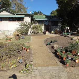 Home Demonstration Garden Renovation, view 22, south side of Cottage, first day of replanting work