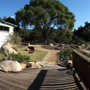 Home Demonstration Garden Renovation, view 26, panorama from deck, first day of replanting work