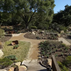 Home Demonstration Garden Renovation, view 29, looking east from deck, first day of replanting work
