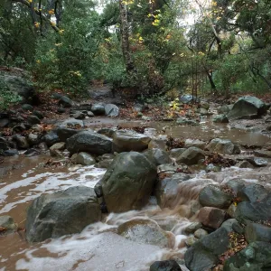 Lower creek crossing after rain storm