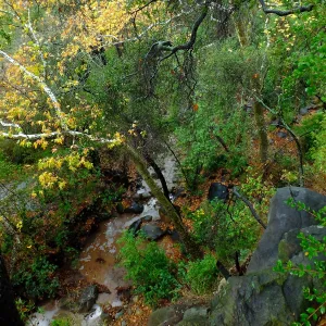 View from Canyon rim, adjacent to Cottage after rainfall