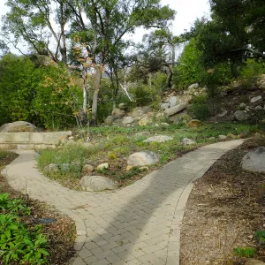 Wooded Dell after completion of main section planting