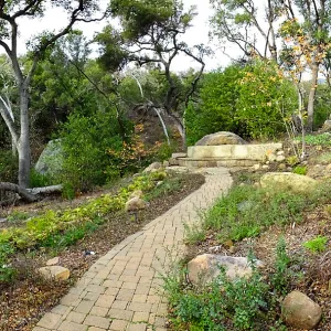 Wooded Dell after completion of main section planting, panorama with Campbell Bridge and Campbell Bench