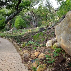 Wooded Dell after completion of main section planting, panoramic view along Campbell Trail