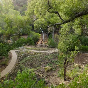 Wooded Dell after completion of main section planting, view from picnic area