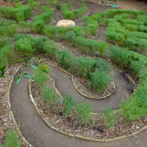 Centennial Maze
