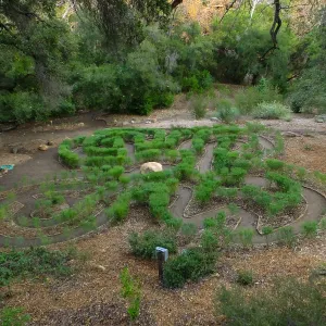 Centennial Maze