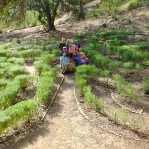 Children in the Centennial Maze