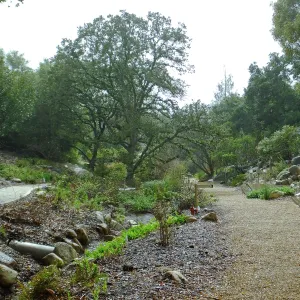 Misty morning in the Arroyo Section