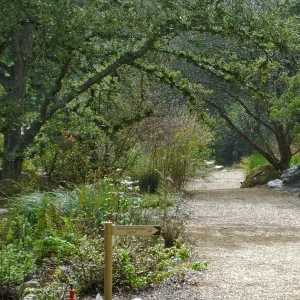 Misty morning in the Arroyo Section