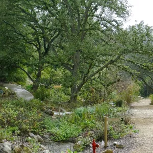 Misty morning in the Arroyo Section