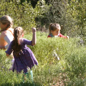 Children in the Centennial Maze