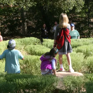 Children in the Centennial Maze