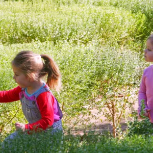 Children in the Centennial Maze