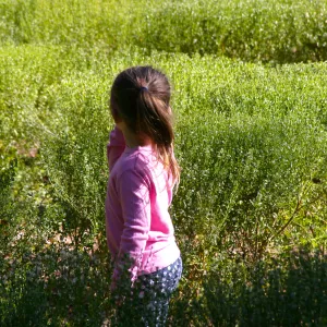 Children in the Centennial Maze