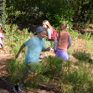 Children in the Centennial Maze