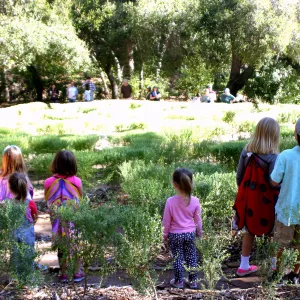 Children in the Centennial Maze
