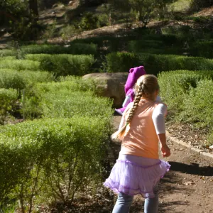 Children in the Centennial Maze