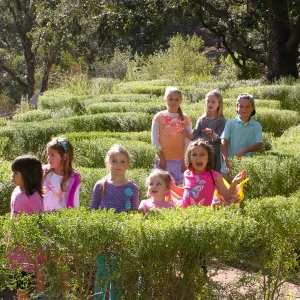 Children in the Centennial Maze
