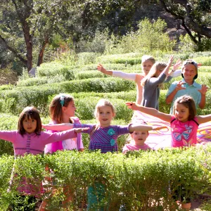 Children in the Centennial Maze