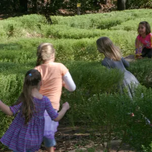 Children in the Centennial Maze