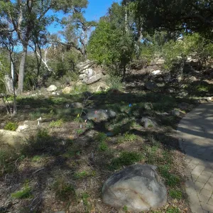 Wooded Dell