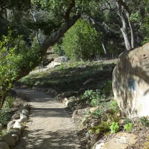 Wooded Dell