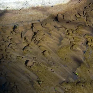 Flow patterns in Mission Creek
