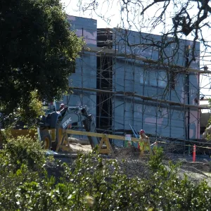 Future location of two Island Oaks, flanking the entrance to the new Island Section at the Pritzlaff Conservation Center