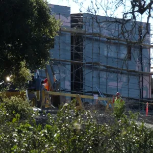 Future location of two Island Oaks, flanking the entrance to the new Island Section at the Pritzlaff Conservation Center
