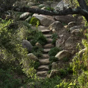 Stone steps in Arroyo Section
